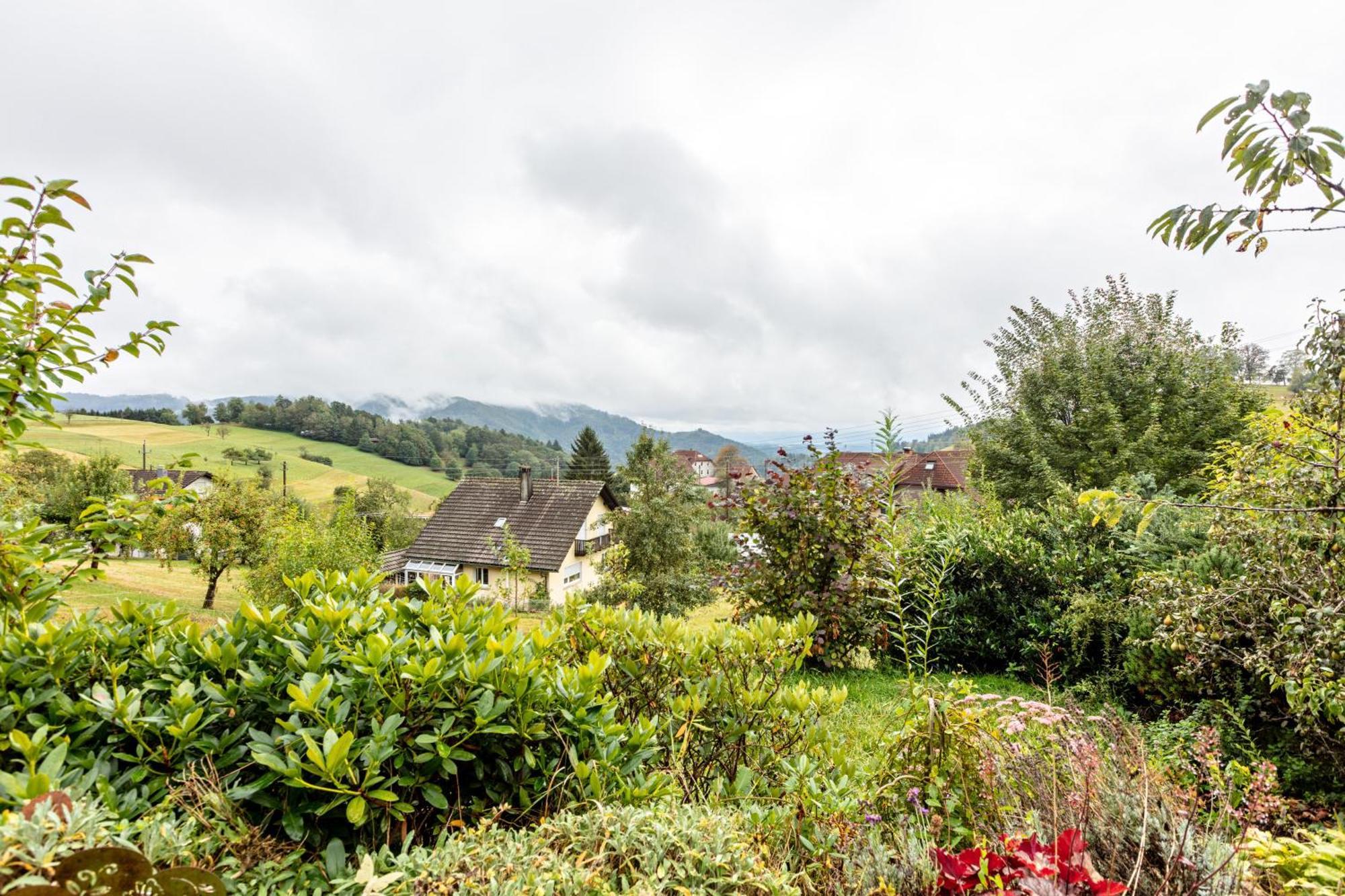 Haus Landblick Apartment Zell im Wiesenthal Luaran gambar